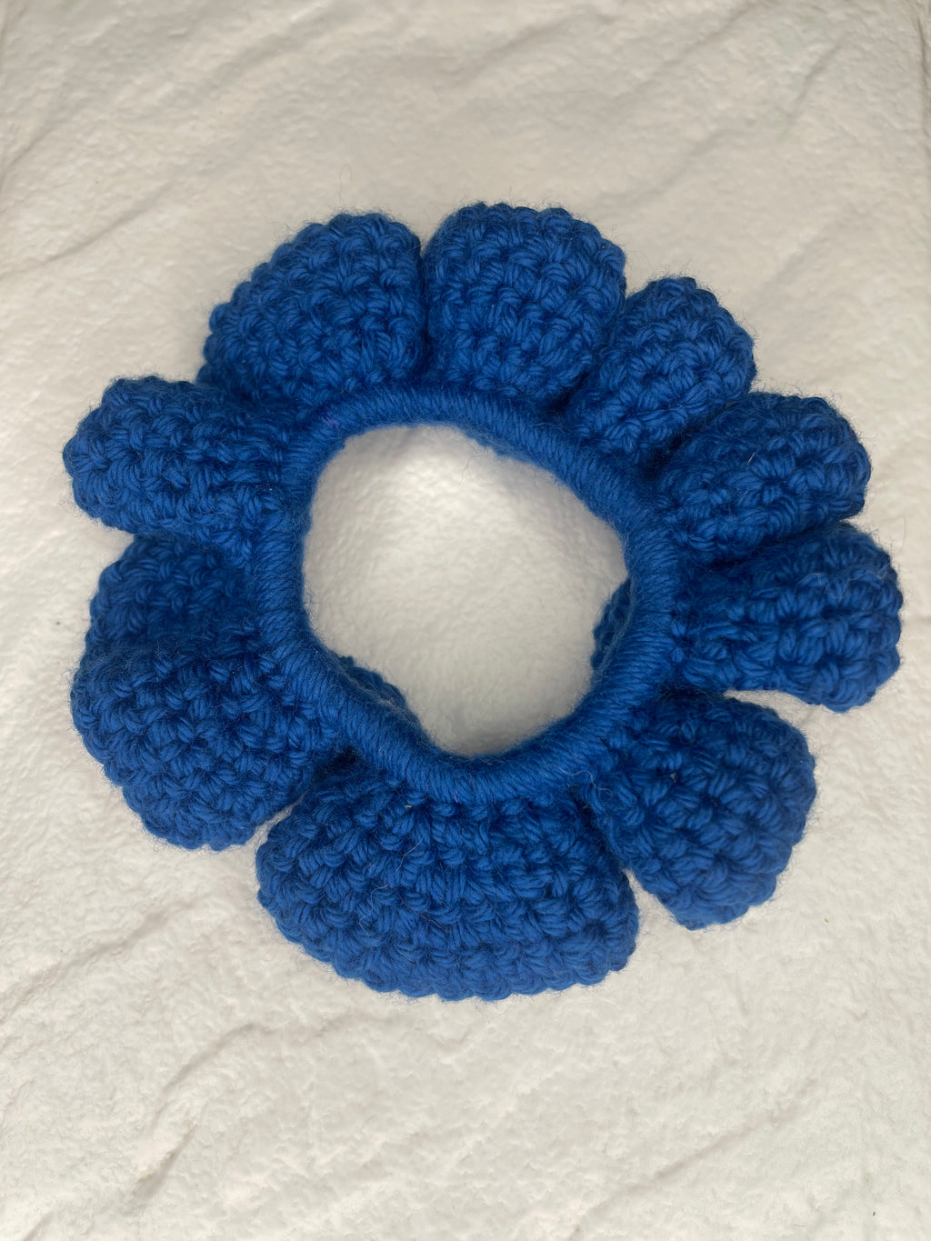 Moyen Chouchou Bleu Saillant