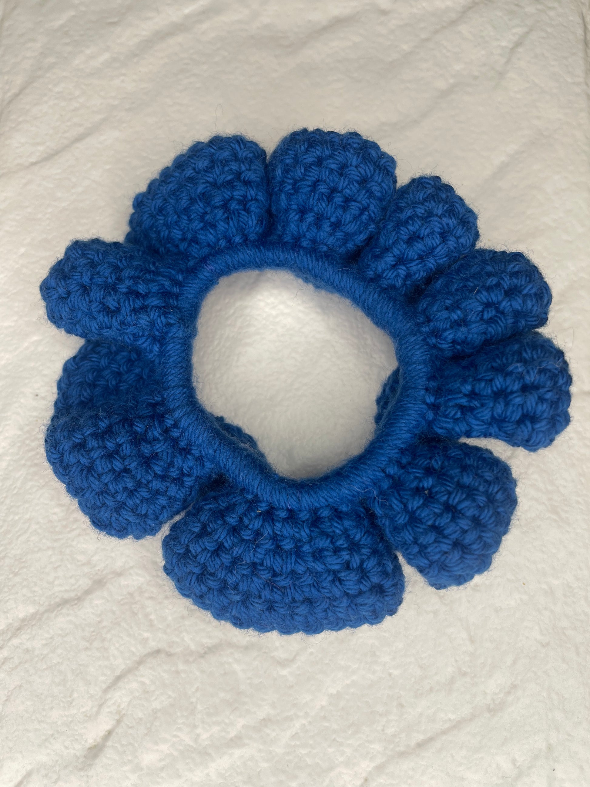 Moyen Chouchou Bleu Saillant